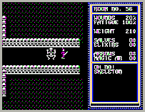 Apple II Temple of Apshai - Automated Simulations 1979
