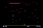 Centipede