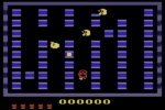 Pengo